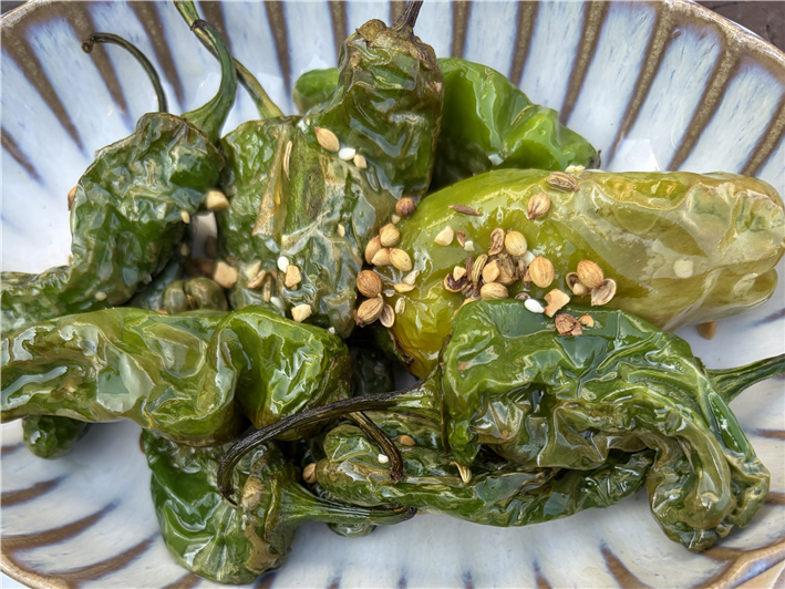 padron peppers